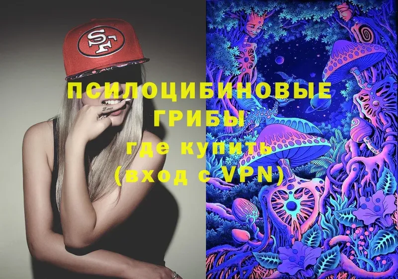 Галлюциногенные грибы MAGIC MUSHROOMS  где купить   Колпашево 